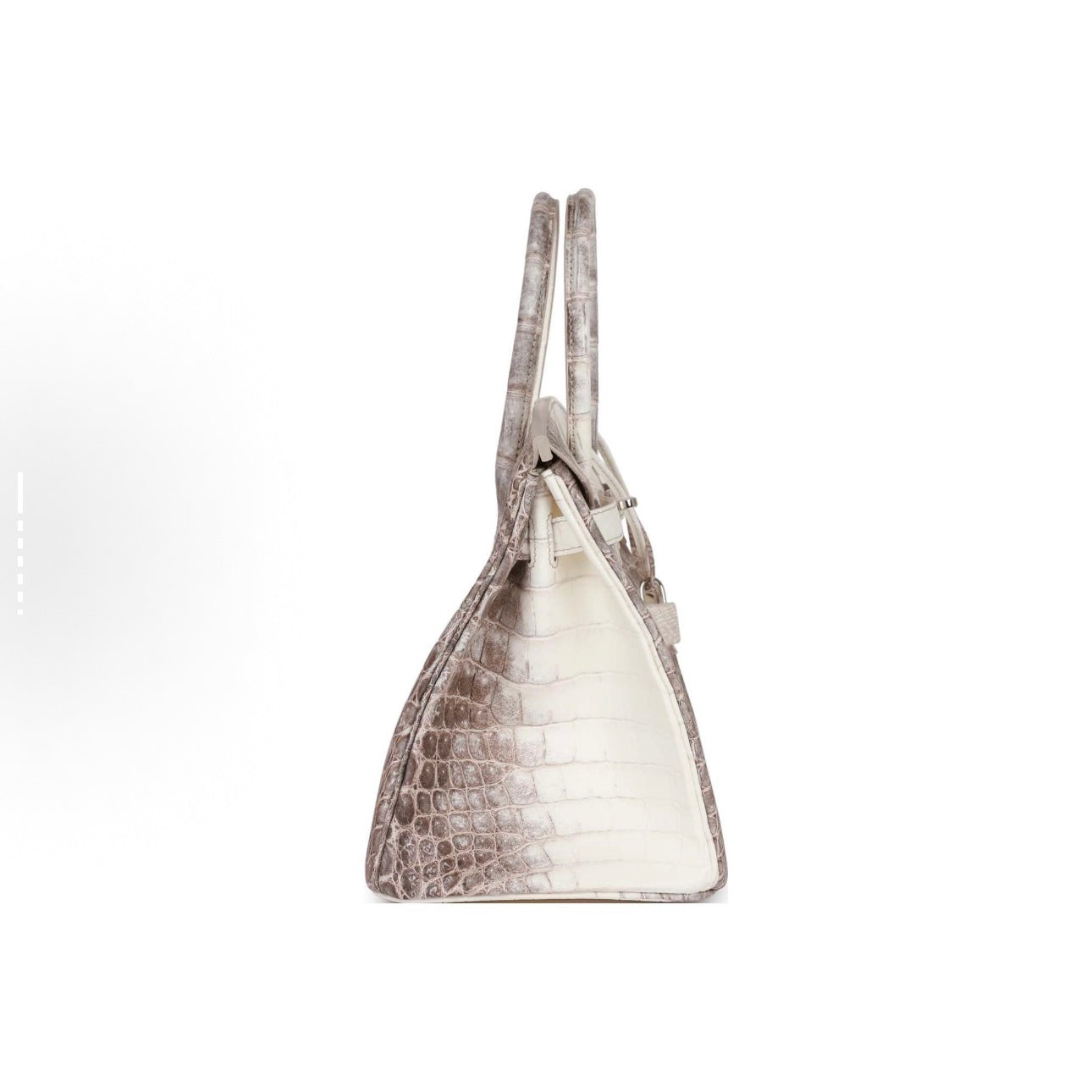 Jay B Crocodile skin bag（A）