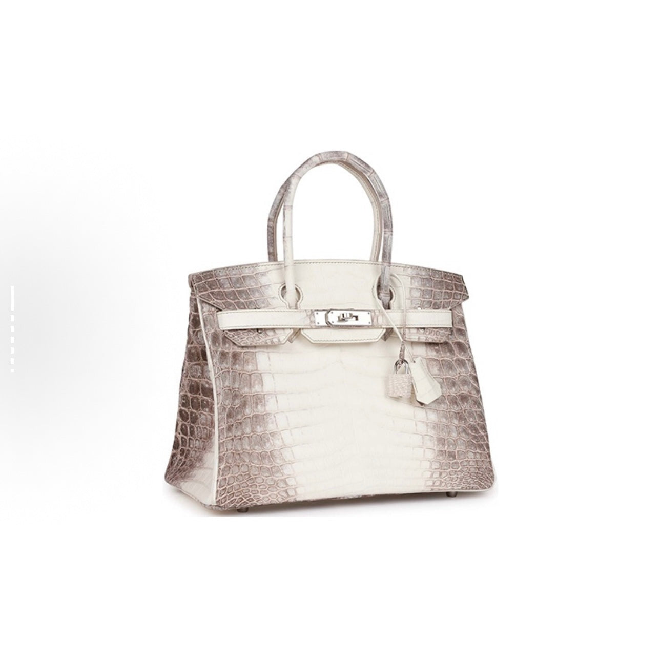 Jay B Crocodile skin bag（A）