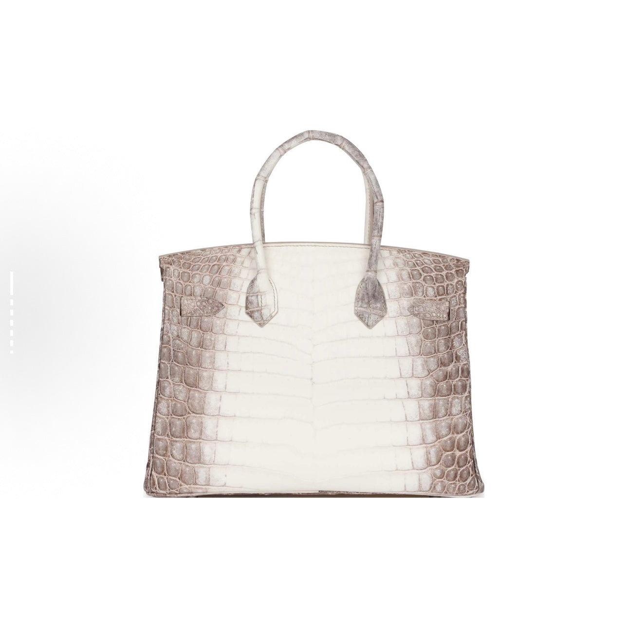 Jay B Crocodile skin bag（A）