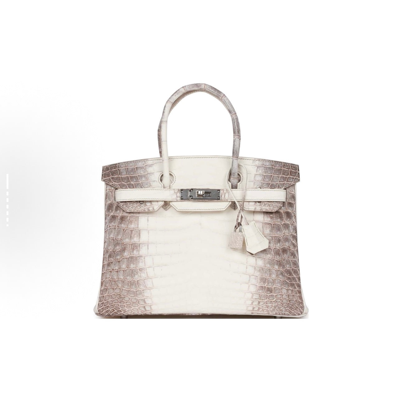 Jay B Crocodile skin bag（A）