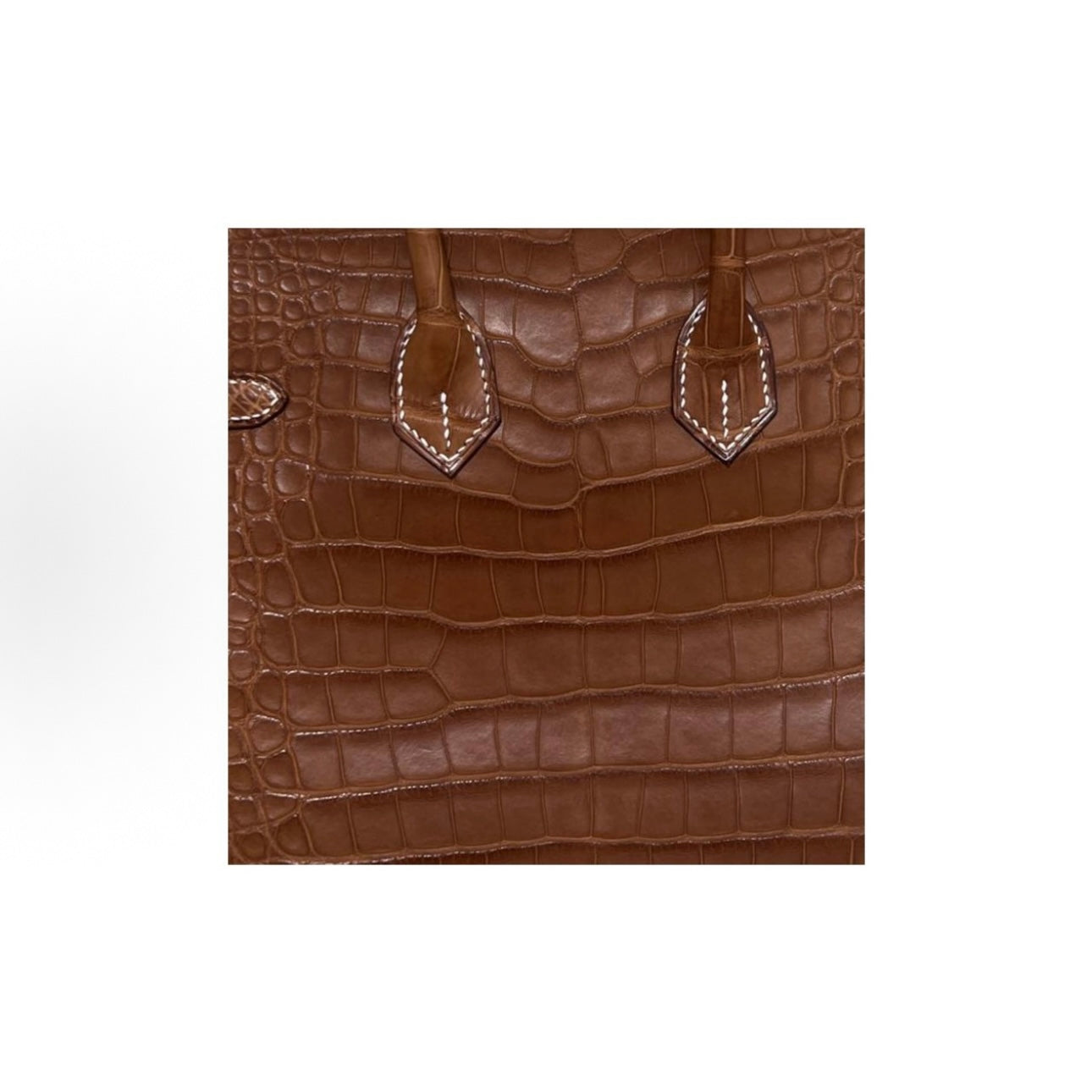 Jay B Crocodile skin bag（D）