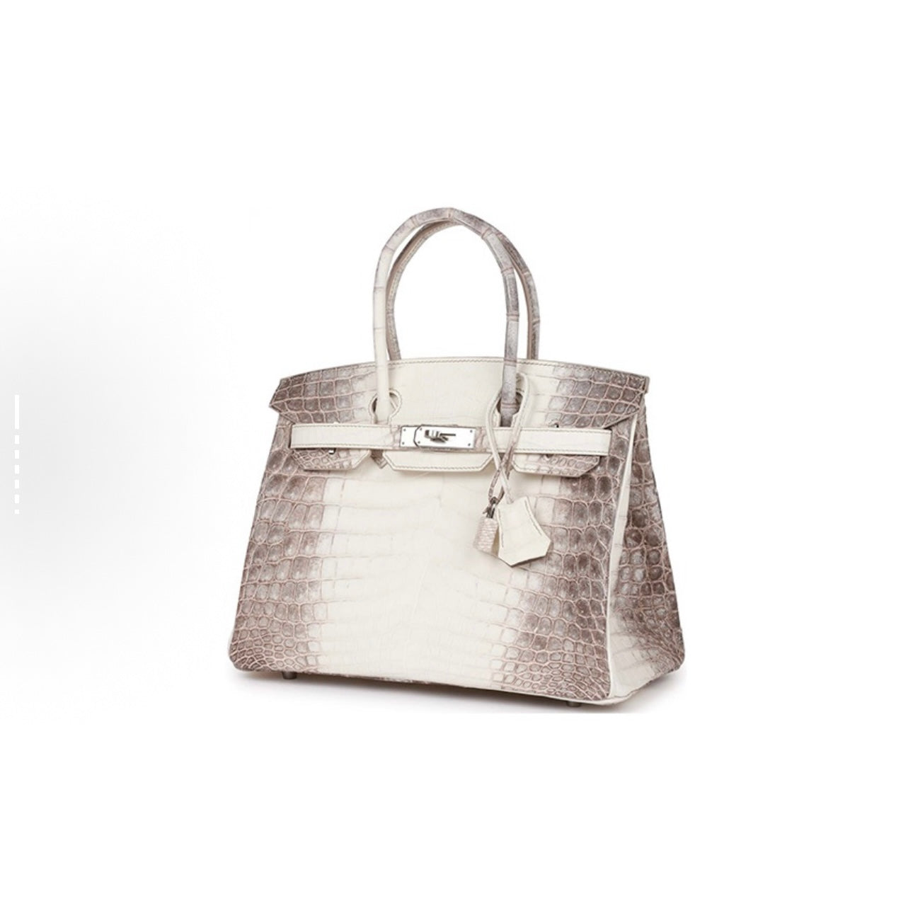Jay B Crocodile skin bag（A）